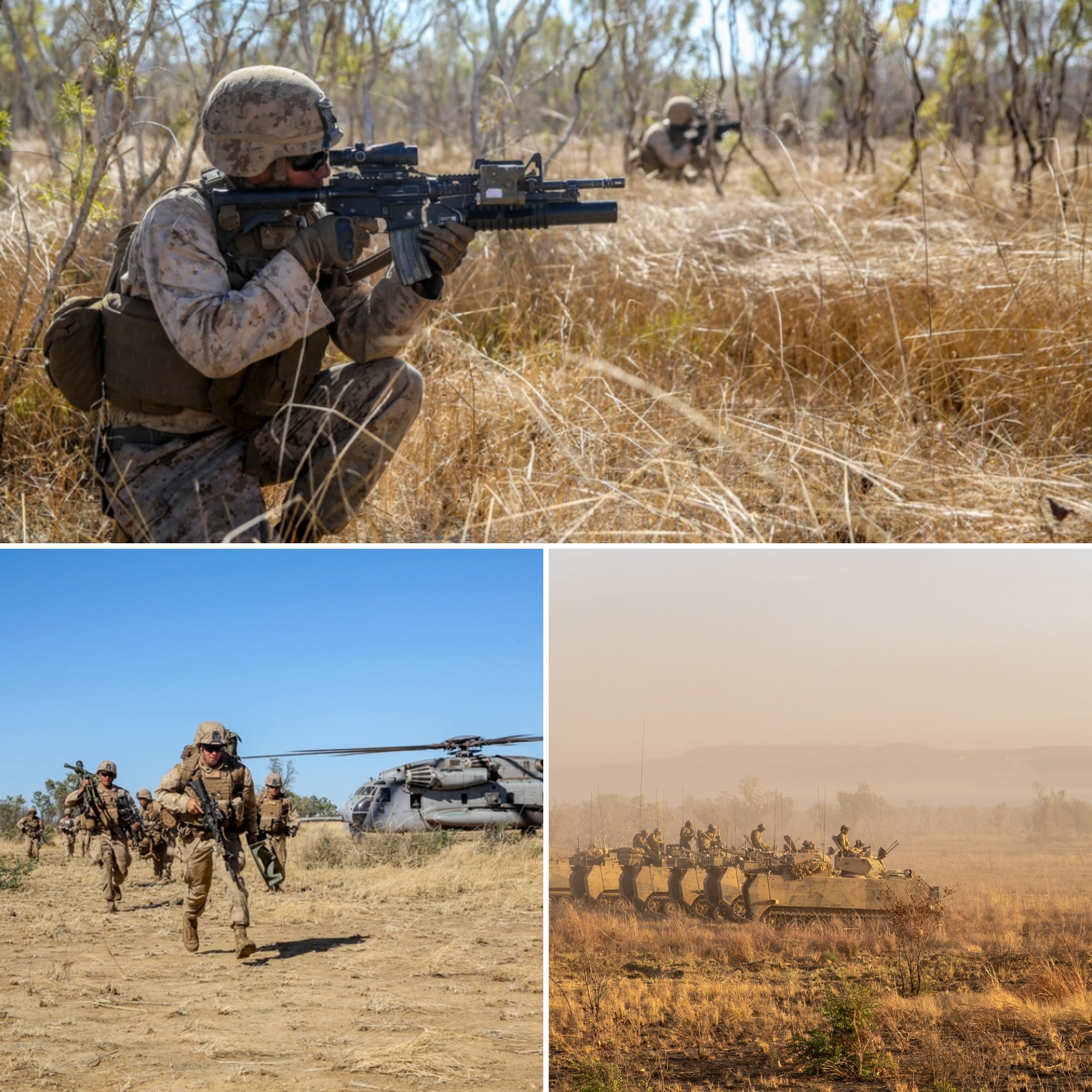 Collage of miliatry photos. Armed Marines leave helicopter, marines aim rifles in the bush, Army tanks drive across dusty plain