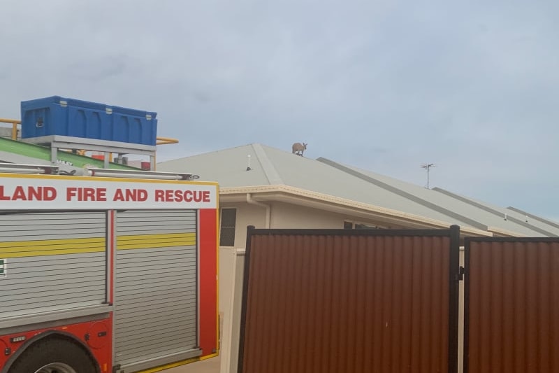 A kangaroo on a roof