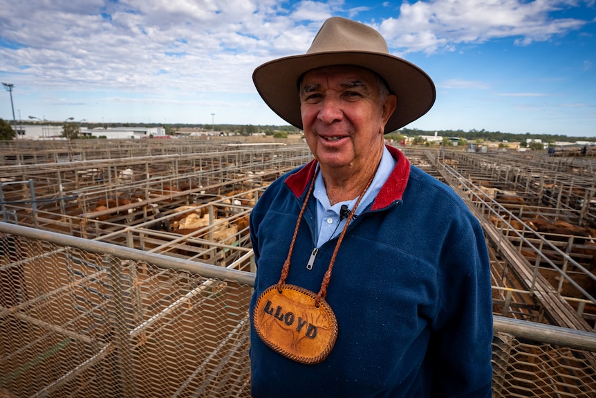Man standing in front of cattle wears a cowboy hat and stares forwards. 