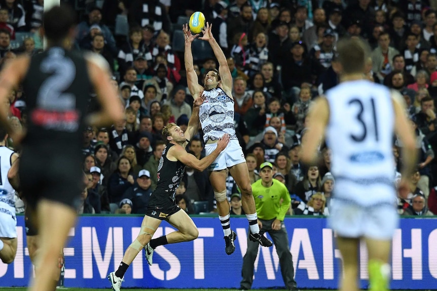 Geelong's Tom Hawkins leaps highest to take a mark against Port Adelaide