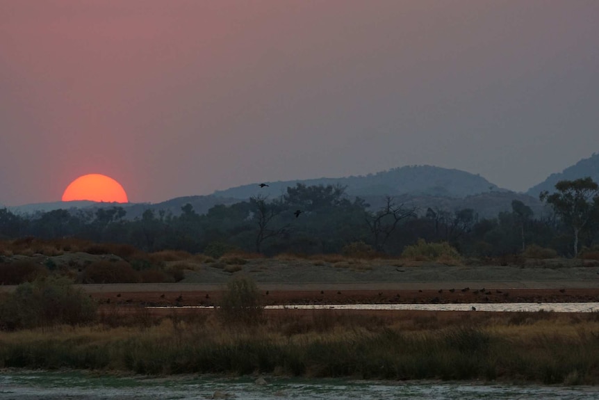 Birds fly and bathe in the Alice Springs Sewage Ponds as the sun sets over a range in the background.