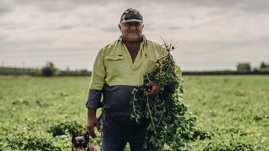 A farmer in high-vis stands in a field.