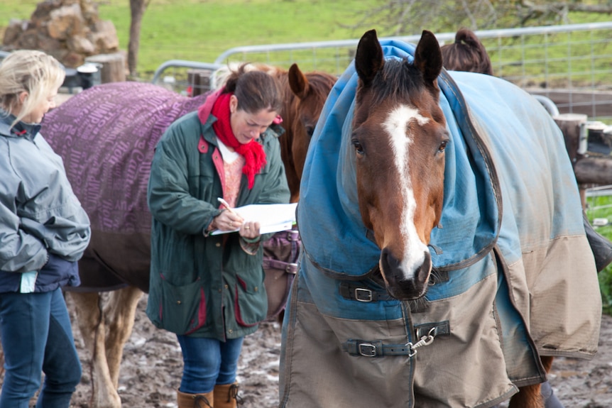 Mary Harrison watches as Emma Crawford Chandler writes notes about Jag the horse.
