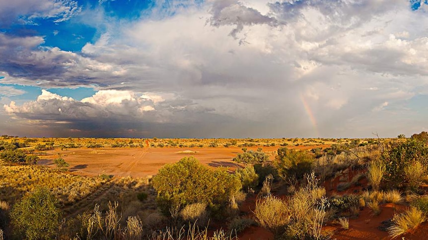 Looking out over a red desert with some trees and a stormy sky and rainbow in the distance.