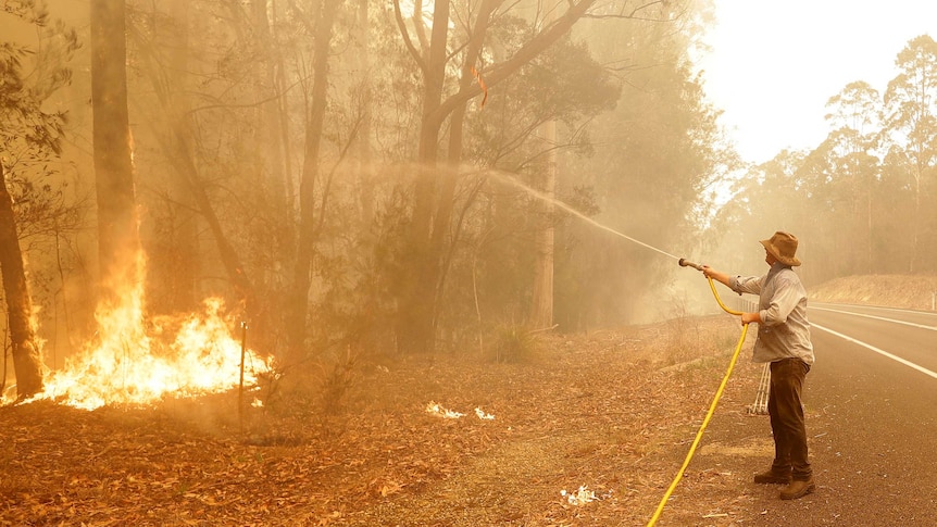 A man is seen holding a hose and pointing it at a fire starting at the base of trees along the side of the road.