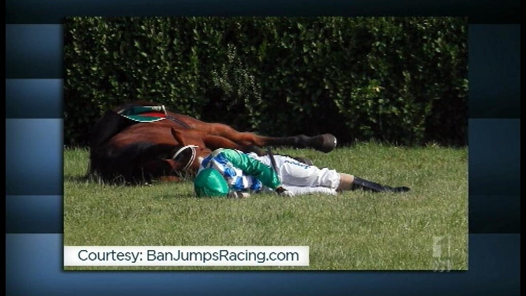 Jumps racing already unlawful Greens ABC News