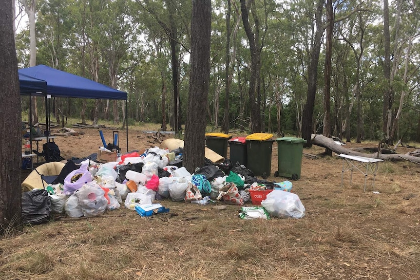 Rubbish left at the site of a forest rave party