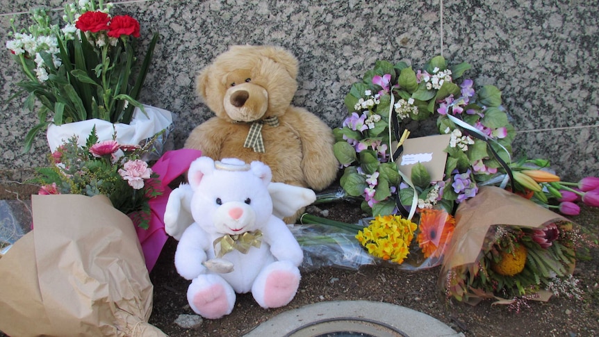 The teddy bears left outside the embassy gates are to remember the 80 children killed on board MH17.