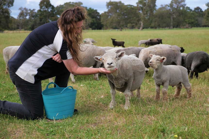 A woman with long brown hair kneels in the paddock surrounded by small white sheep 