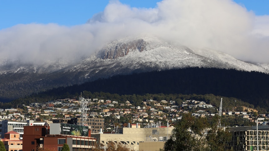 A snow-covered mountain with city buildings and suburban houses in the foreground