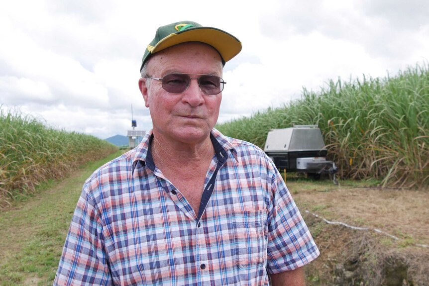 A man in a blue checked shirt and a baseball cap stand alongside a trench dug between rows of sugar cane in a paddock.