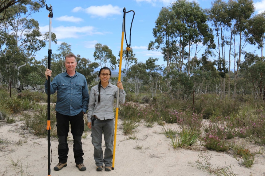 Conservationist James Fitzgerald and PhD student Jessie Au holding large slingshots.