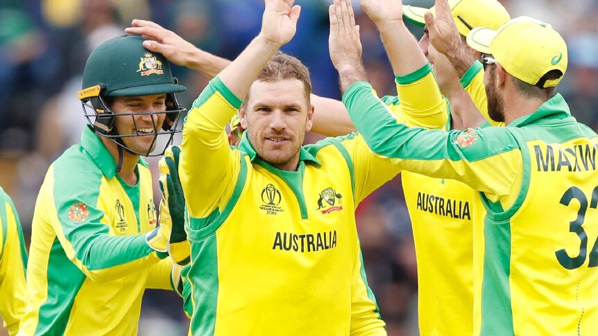 Aaron Finch accepts a high-10 from Glenn Maxwell as Alex Carey and Pat Cummins mull around to join the celebrations.