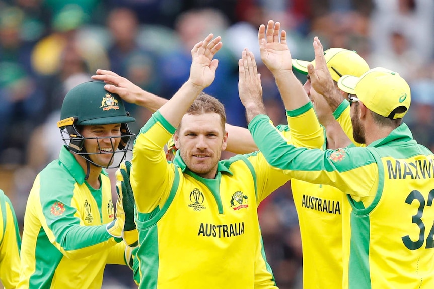 Aaron Finch accepts a high-10 from Glenn Maxwell as Alex Carey and Pat Cummins mull around to join the celebrations.