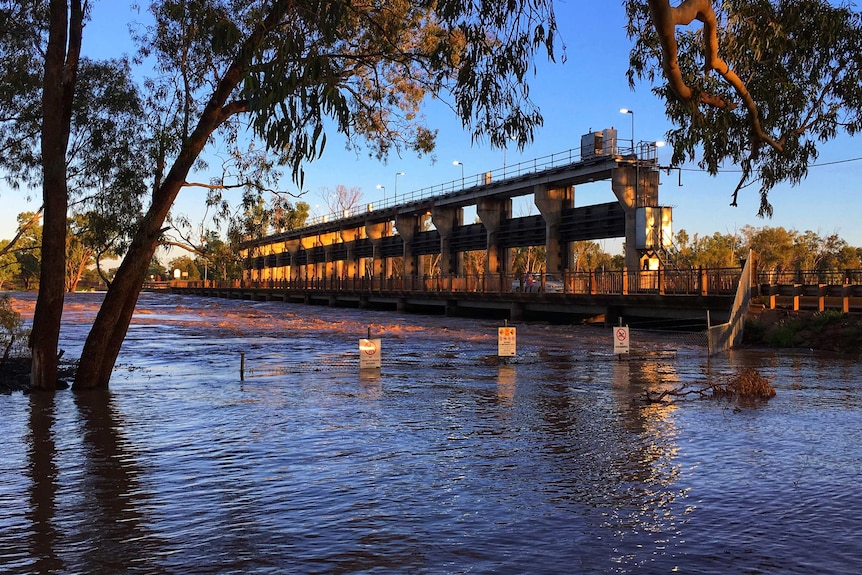 Andrew Nixon Bridge at St George in southern Queensland with flood waters approaching the level of the bridge