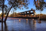 Andrew Nixon Bridge at St George in southern Queensland with flood waters approaching the level of the bridge
