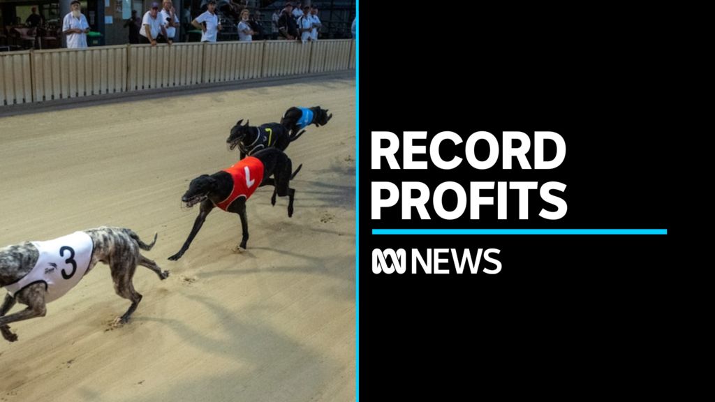 Greyhound industry continues to race ahead with record profits - ABC News