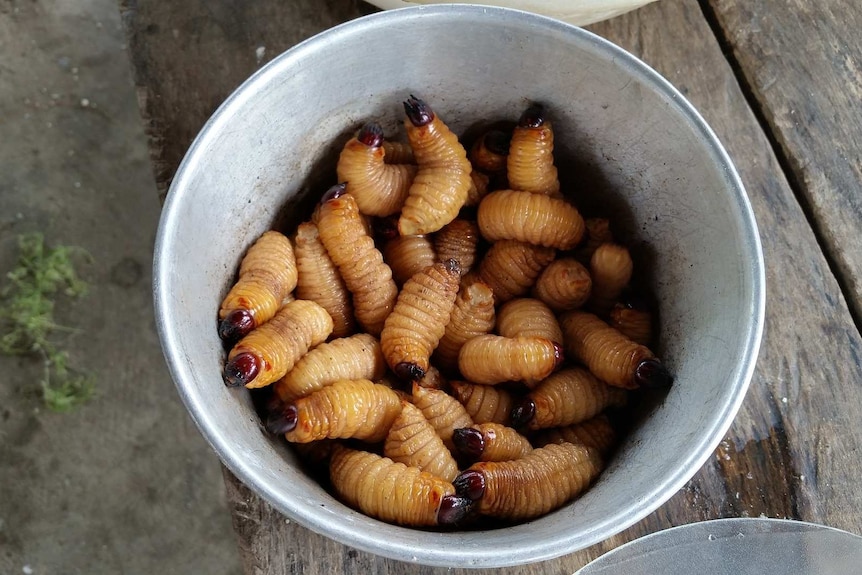 A bowl of insect larvae.