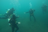 Four scuba divers float in water with medium visibility