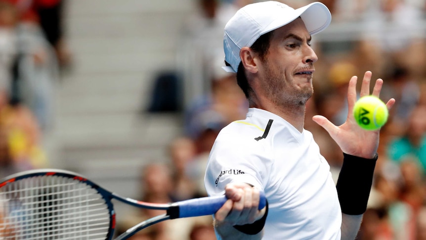 Andy Murray may miss the Australian Open because of injury.