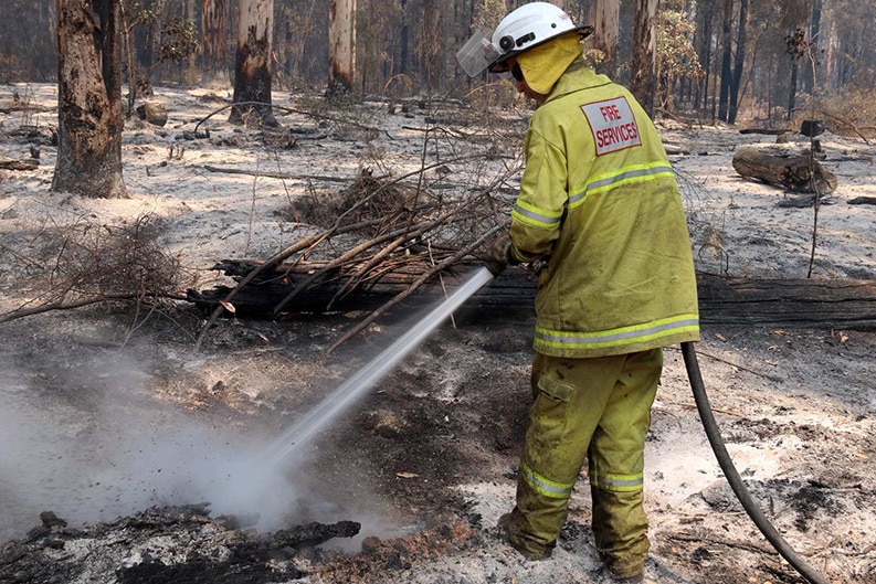 Firefighter generic cost of bushfires.