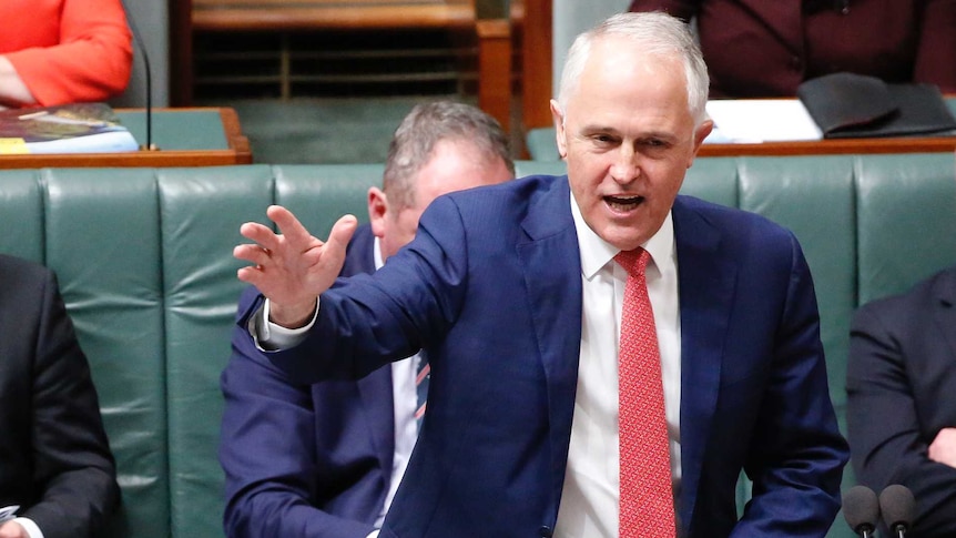 Malcolm Turnbull gestures and speaks during question time