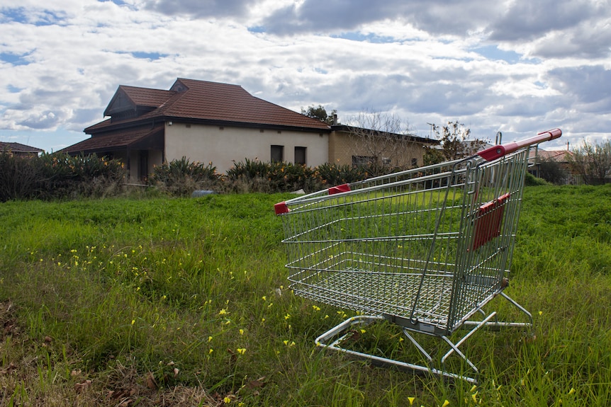 A shopping trolley on a vacant block with house behind