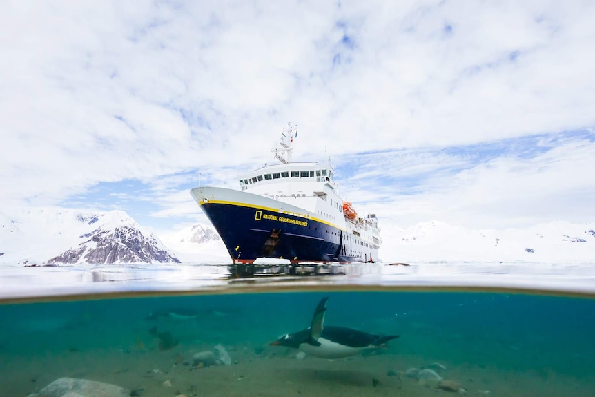 A gentoo penguin beneath the National Geographic Explorer on the Antarctic Peninsula