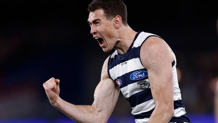 La star des Cats AFL, Jeremy Cameron, a donné un coup de tête dans une “attaque non provoquée” au pub Geelong