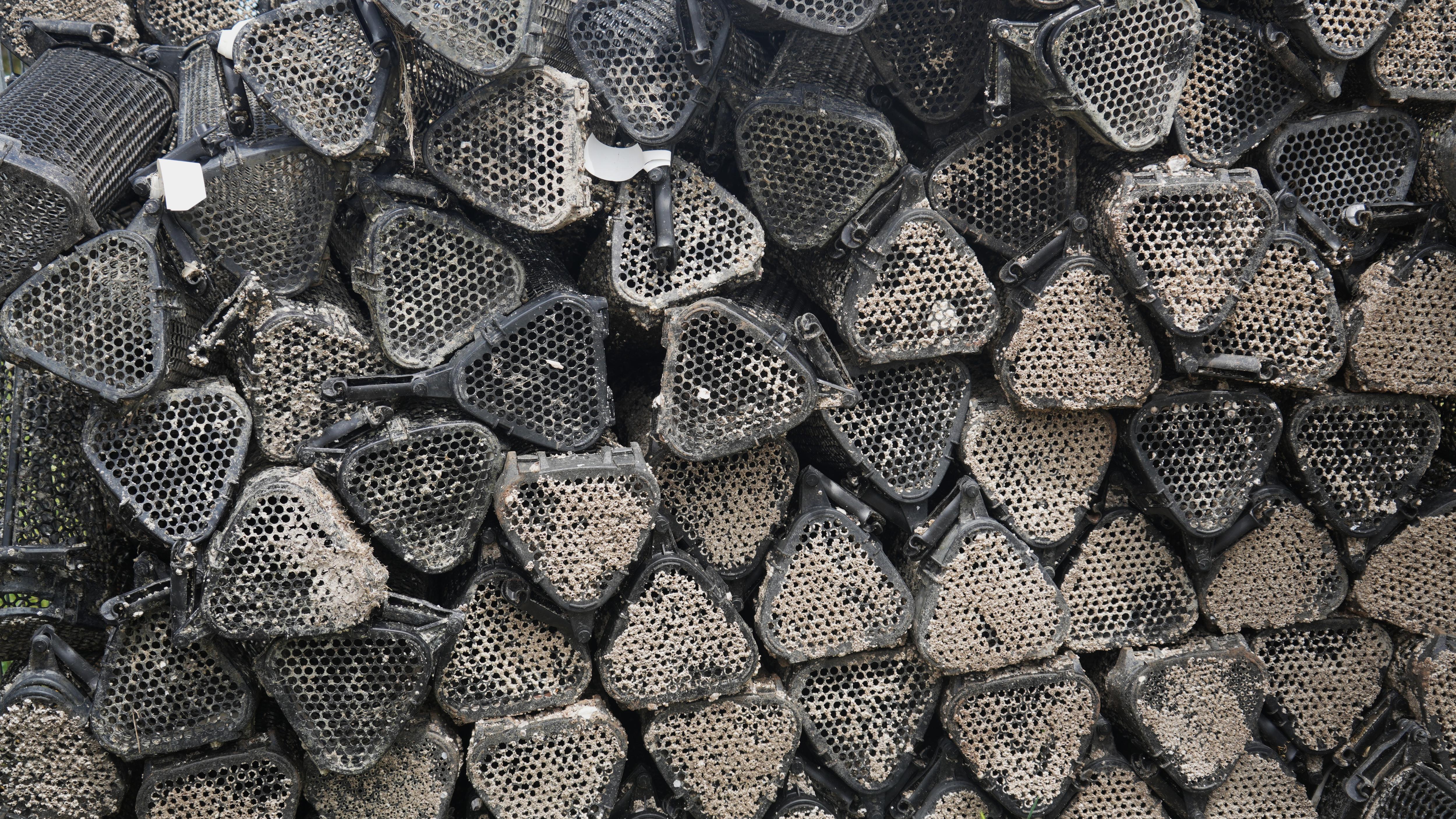 A pile of plastic triangle cages, with brown barnacles covering them