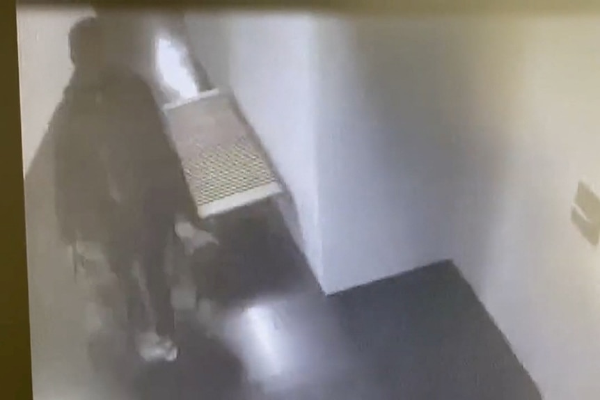 CCTV image of a man holding two bags in a hallway