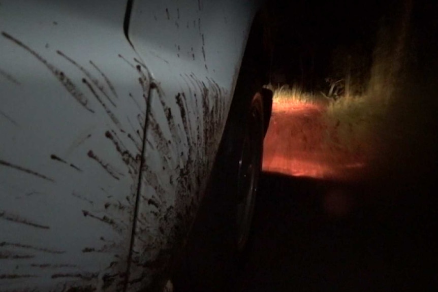 A 4WD driving down a bush track at night