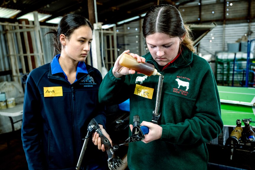 students inspect the shearing equipment in the shed