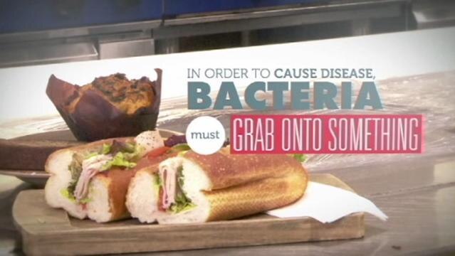 Graphic image a food, text overlay reads "In order to cause disease, bacteria must grab onto something"