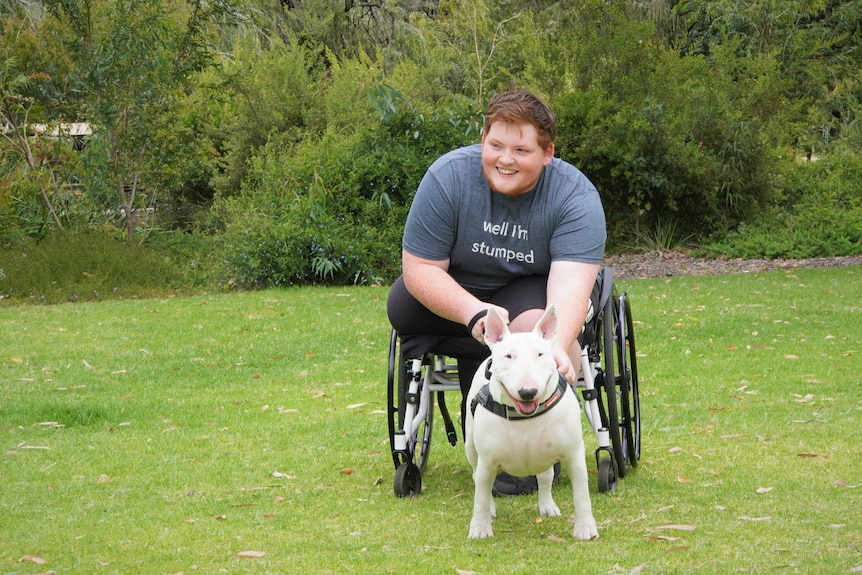 Angus sits in a wheelchair, looking to the side and holding the lead of Maggie the bull terrier who sits on grass in front 