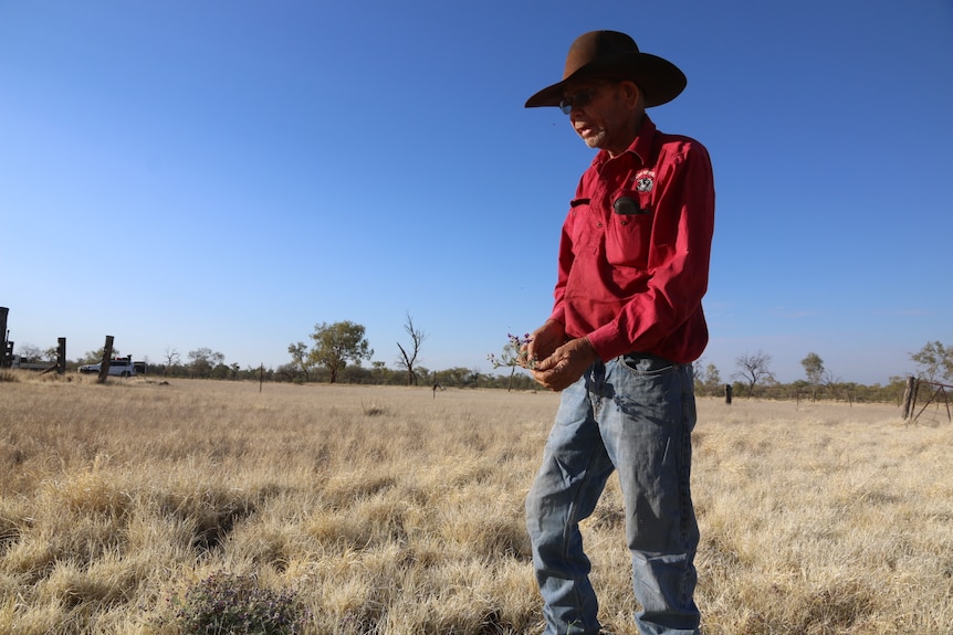 Man wearing jeans, red shirt and brown hate walks through dry grass.