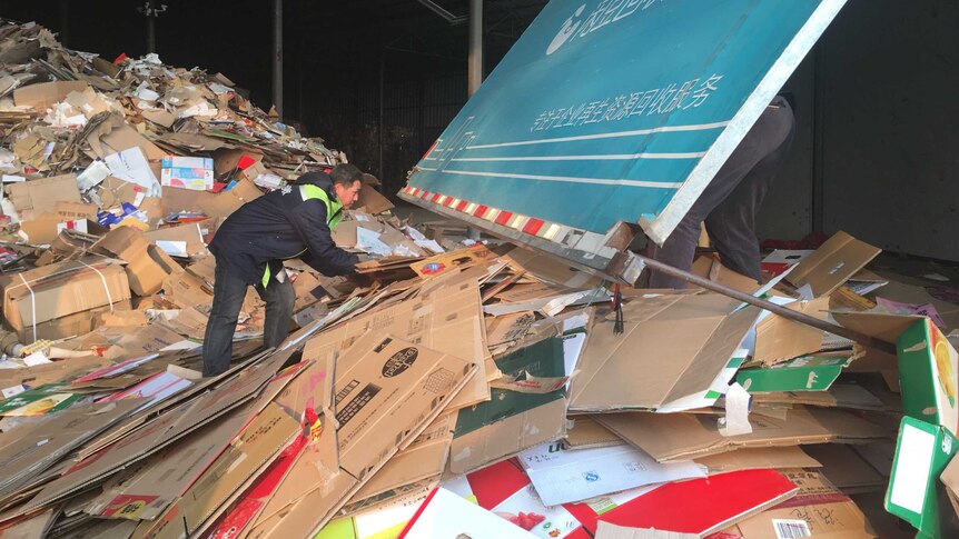 Cardboard collection workers sort boxes at a recycling facility in Beijing.