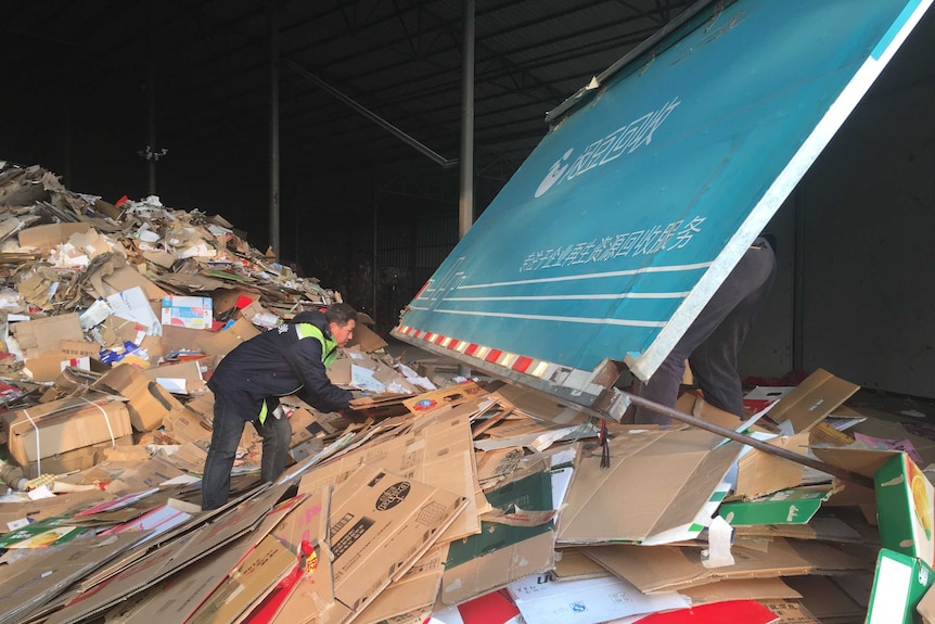 Cardboard collection workers sort boxes at a recycling facility in Beijing.