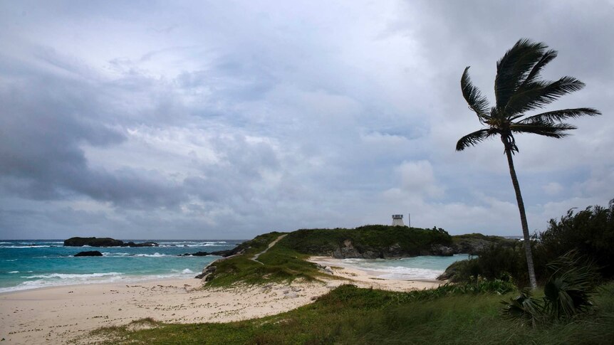 Winds pick up as Hurricane Nicole approaches the Cooper’s Island Nature Reserve in Bermuda.