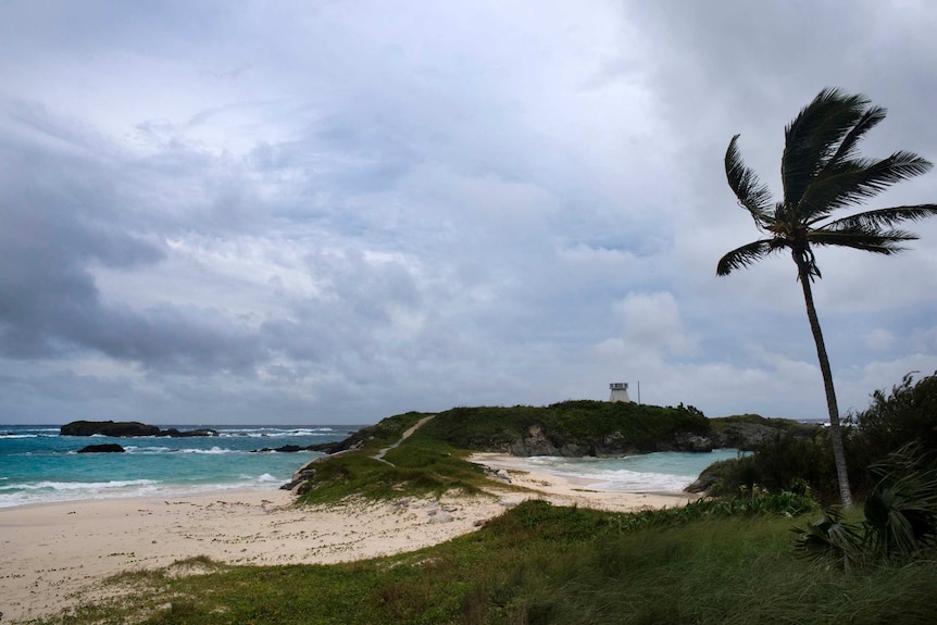 Winds pick up as Hurricane Nicole approaches the Cooper’s Island Nature Reserve in Bermuda.