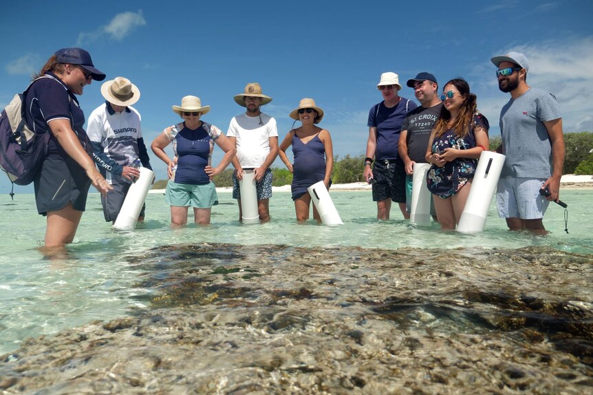 A group of people stand around coral at low tide