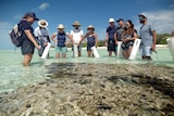 A group of people stand around coral at low tide.