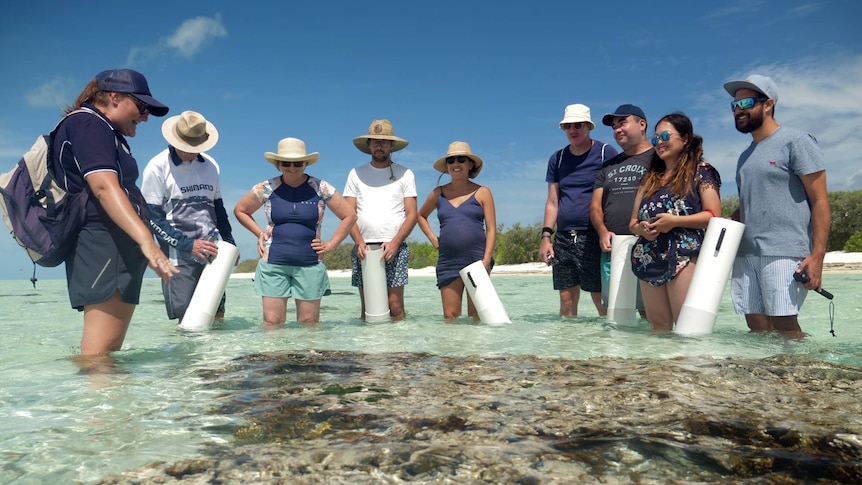 A group of people stand around coral at low tide.