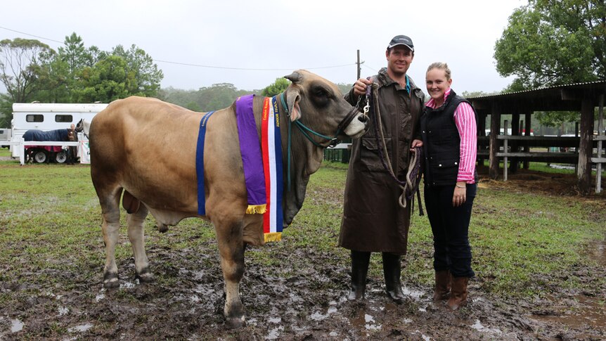 Breeders Jonathan and Emma Ward pose with their champion Charbray bull at the Camden Haven Show.