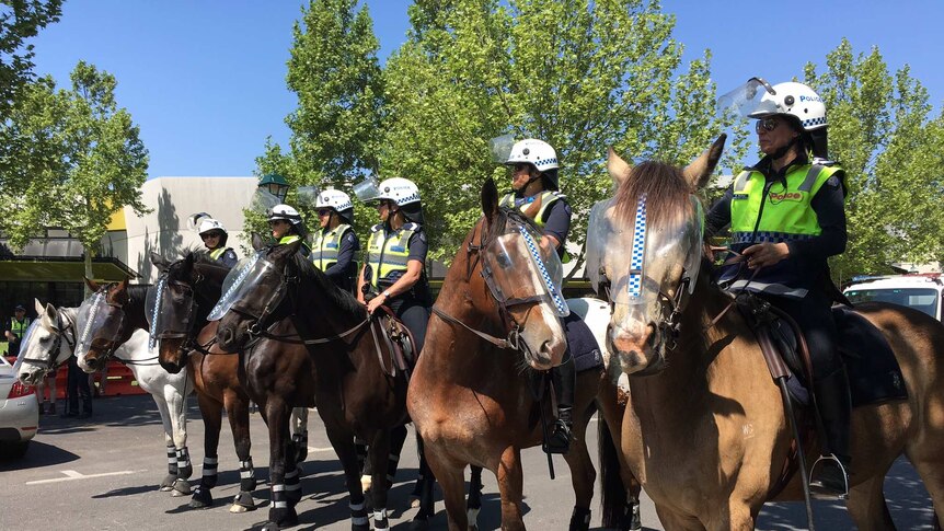 Mounted police are among more than 400 officers in Bendigo for planned mosque rallies.