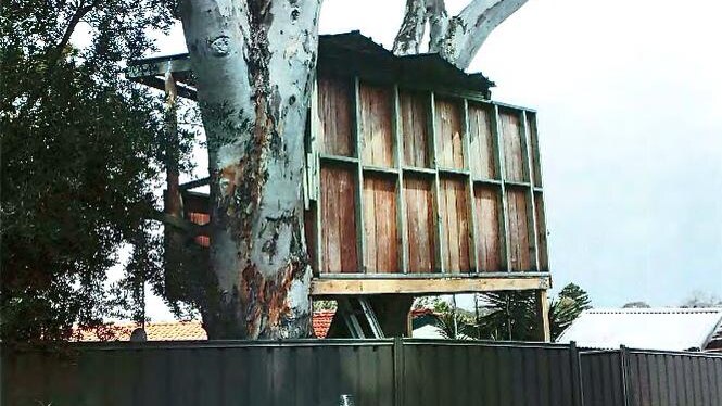 The Mosman park tree house - the view from the back lane.