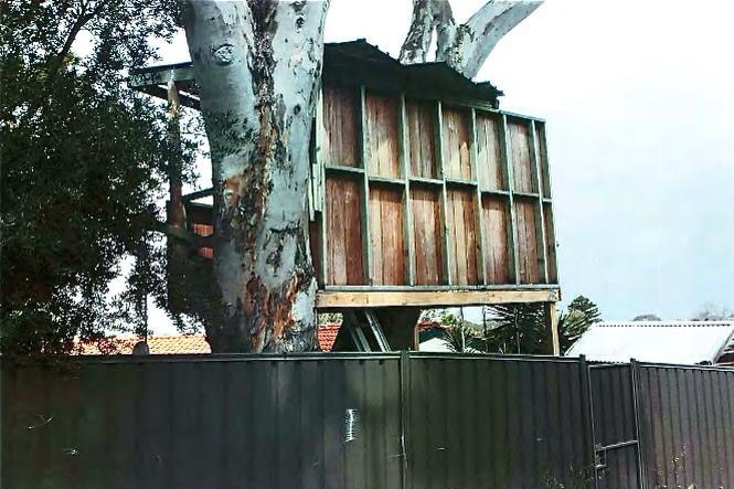 The Mosman park tree house - the view from the back lane.