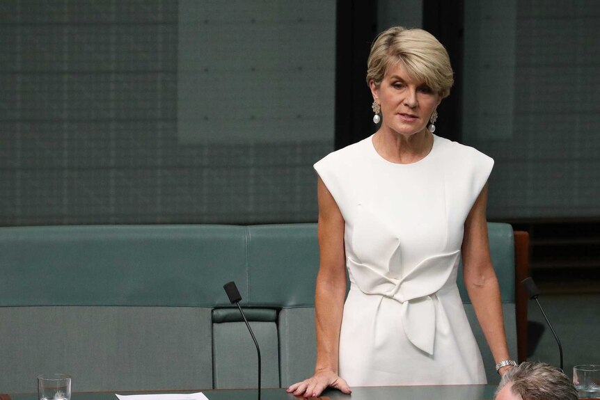 Ms Bishop is addressing the House of Representatives from the backbench, wearing a white dress.