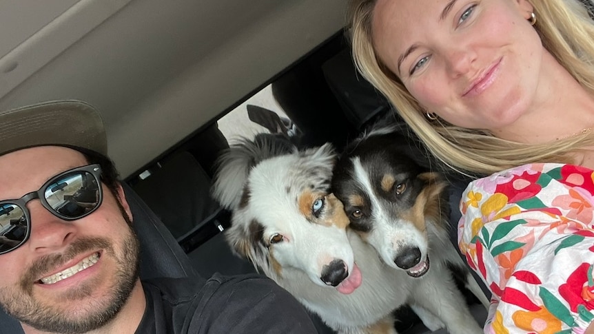 The couple takes a selfie in their car with the two dogs pictured in the back seat