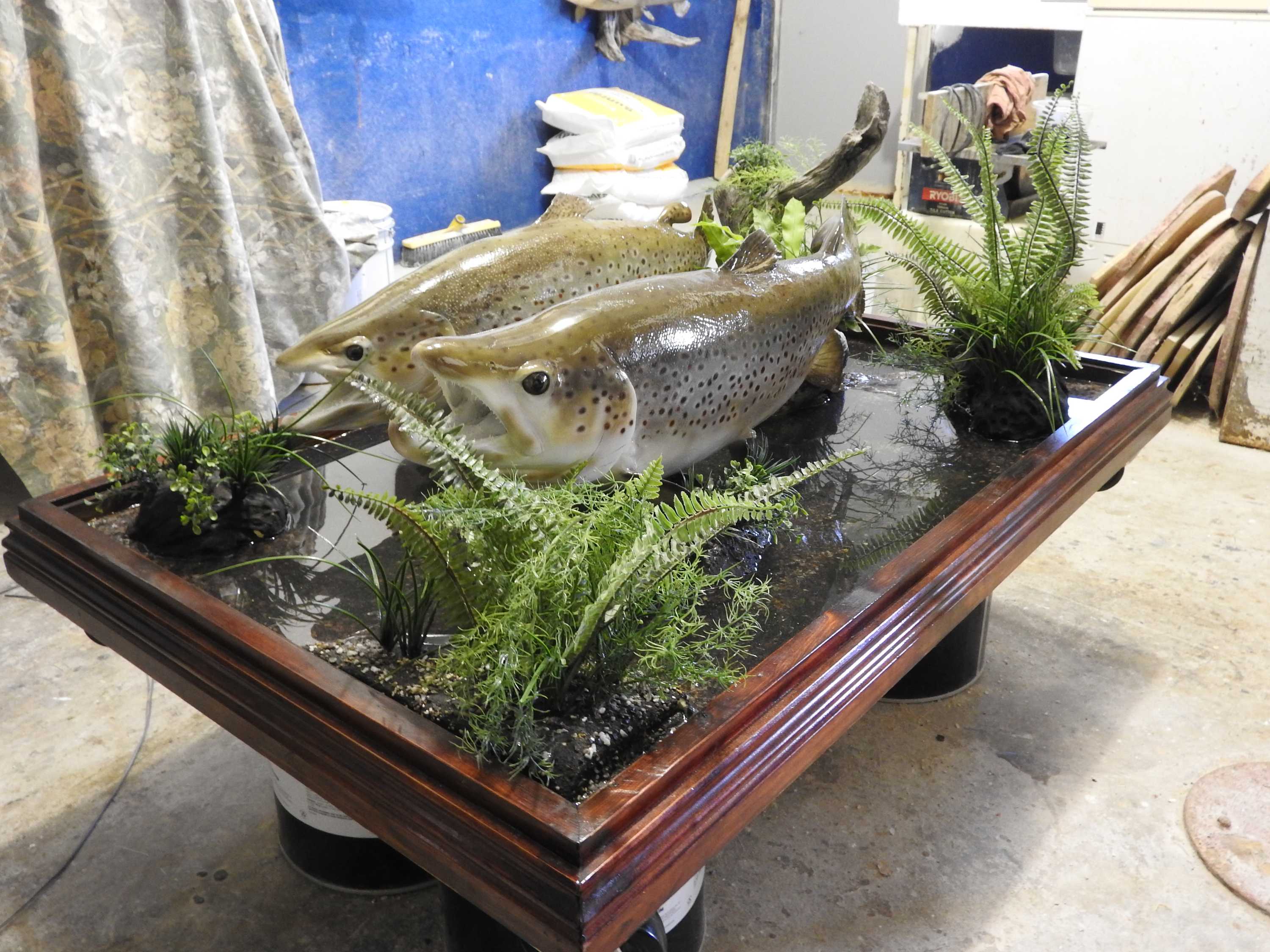 How to stuff a fish - ABC Hobart